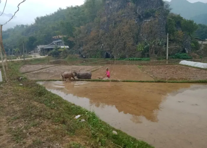 Truong Huy Homestay