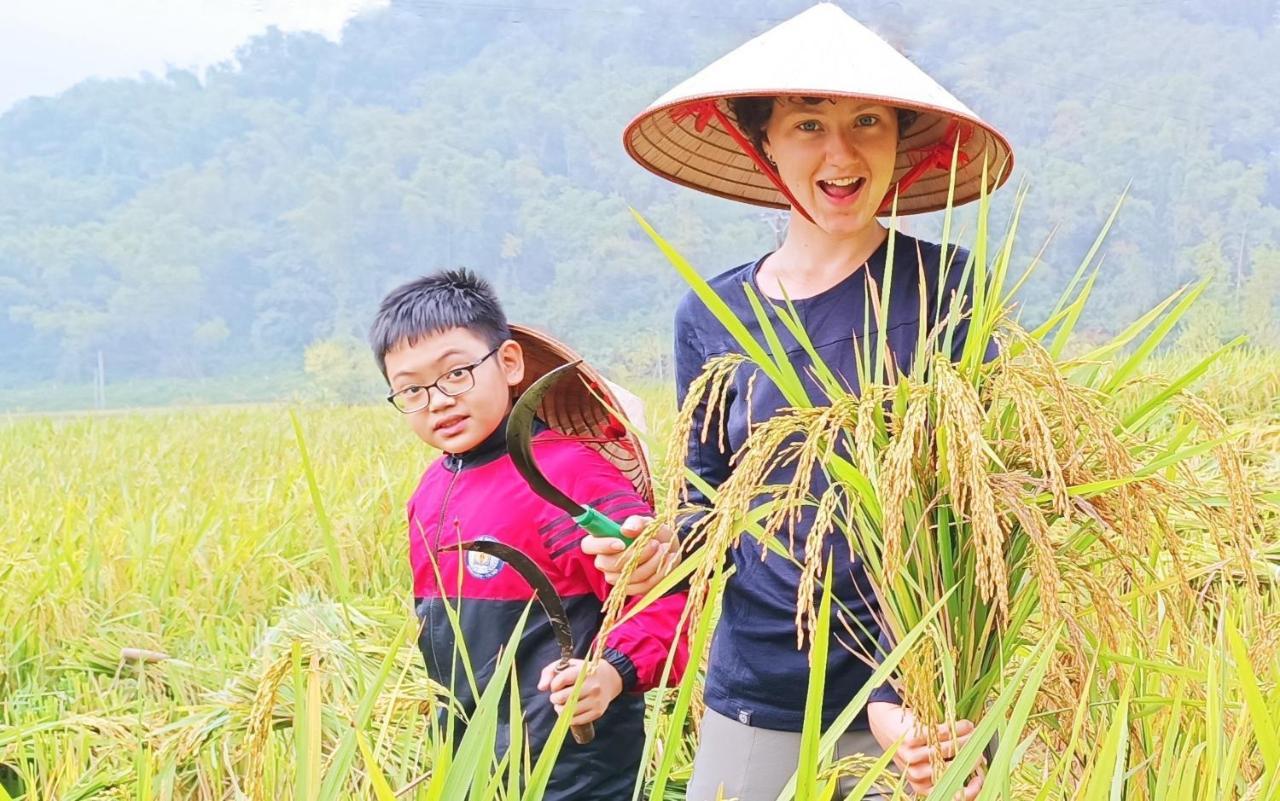 Homestay Truong Huy *