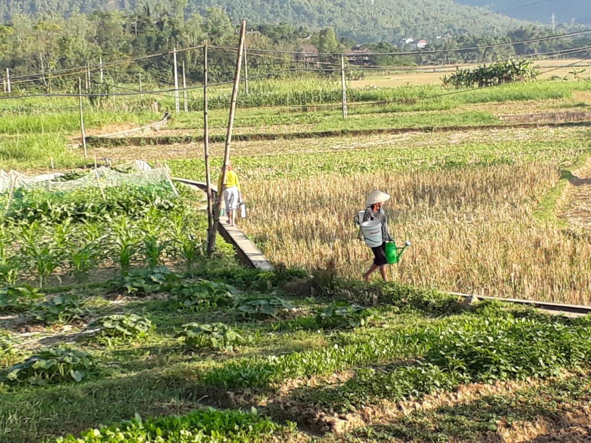 Truong Huy Mai Chau