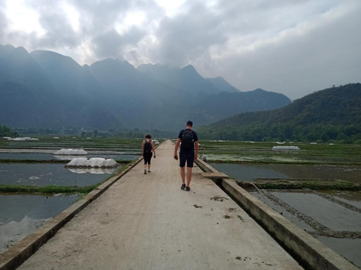 Truong Huy Mai Chau