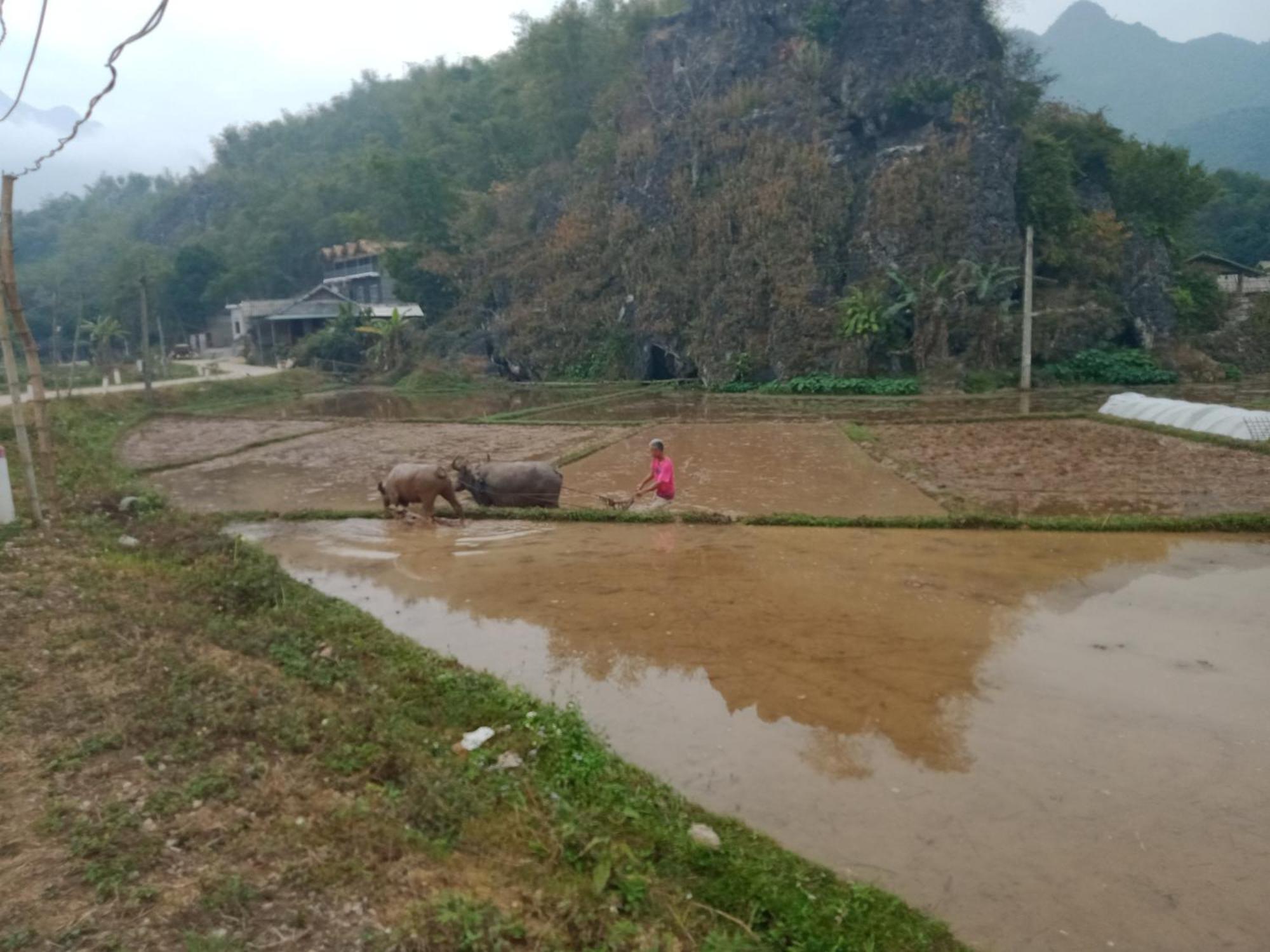 Homestay Truong Huy Mai Chau