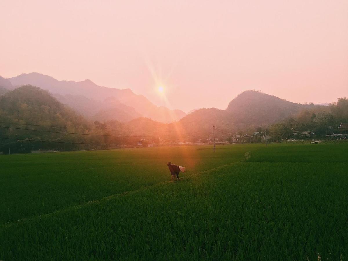 Truong Huy